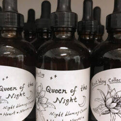 Queen of the Night