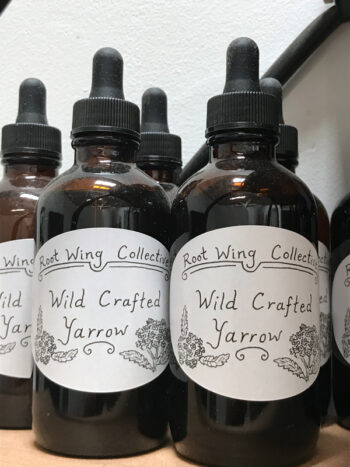 Wild Crafted Yarrow